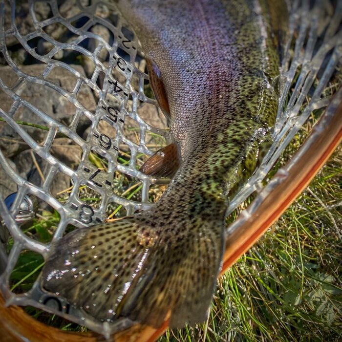 #5 | YOU’RE GONNA NEED A BIGGER NET: Fly Fishing Oregon