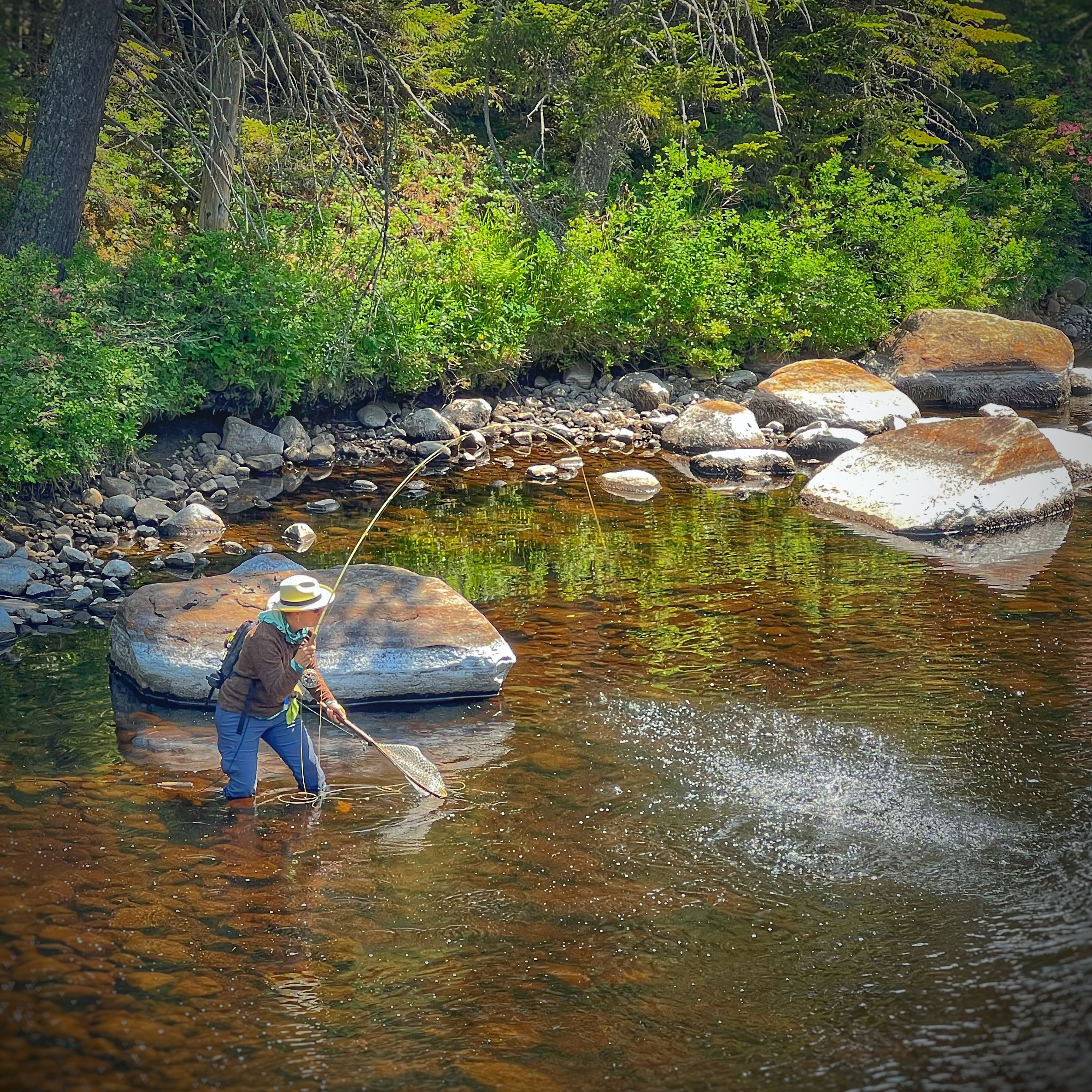 Fly Fishing Bootcamp —