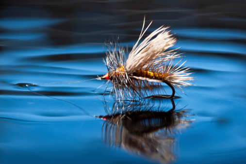 CASTING MATTERS: The Building Blocks of Accurate Fly Casting - fisherofzen